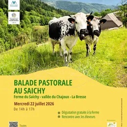 Balade pastorale : la balade du Saichy
