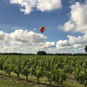 O'fil de l'air - Les Montgolfières du Médoc