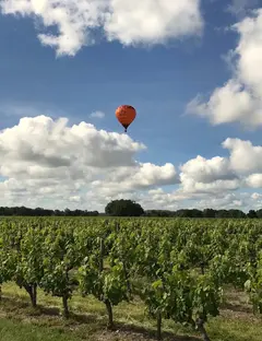 O'fil de l'air - Les Montgolfières du Médoc