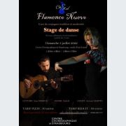 Stage de flamenco