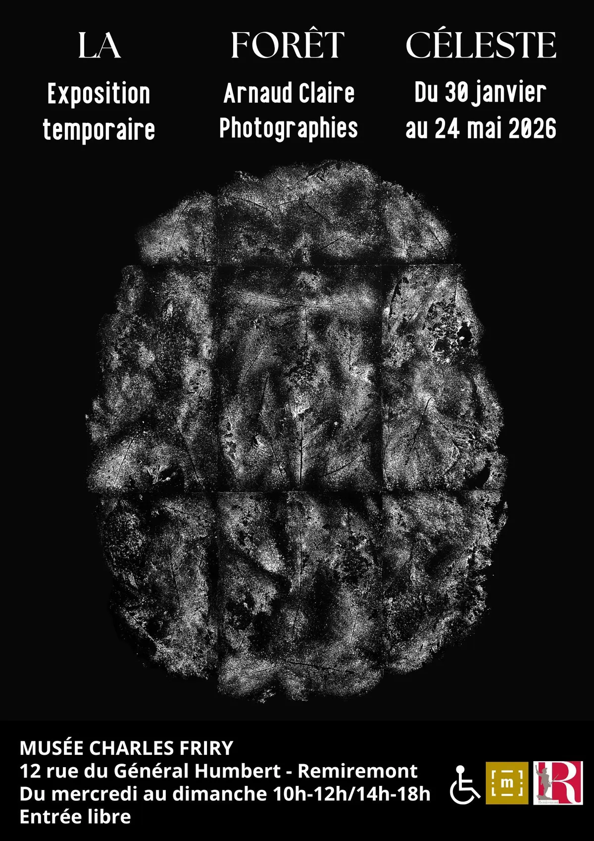 La Forêt céleste. Photographies d'Arnaud Claire
