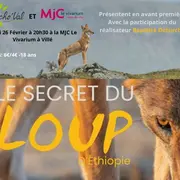 Le Secret du Loup