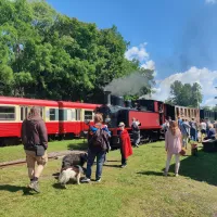 Train à vapeur du dimanche et 15 août &copy; Notre locomotive MEUSE (1914) en gare de Burnhaupt-le-Haut (MélanieBailly_TTDA)