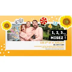 1.2.3  MISEZ