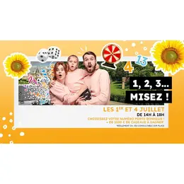 1.2.3  MISEZ
