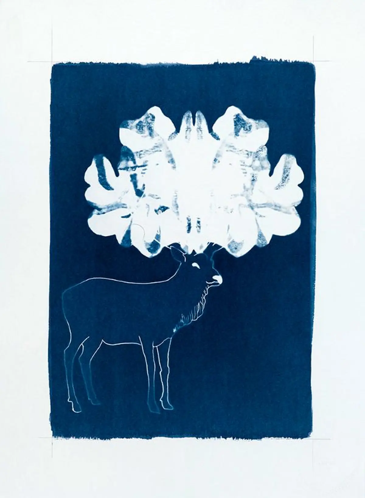 Atelier de pratique en famille – Du portrait au cyanotype 