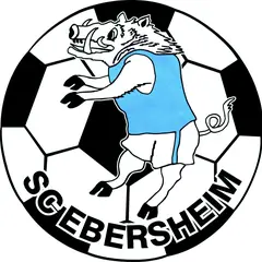 Les Puces du Sanglier