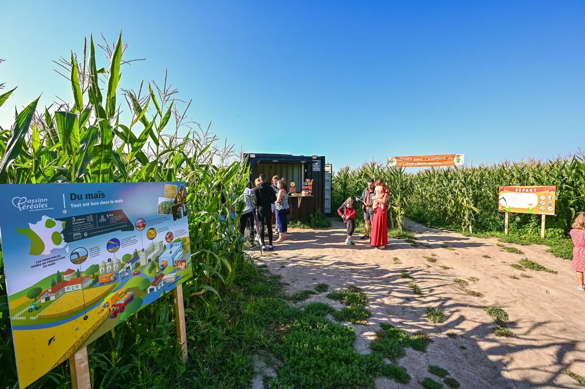 Pop Corn Labyrinthe Berck (Verton)