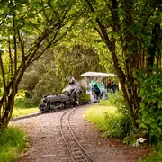 Trains à vapeur : portes ouvertes