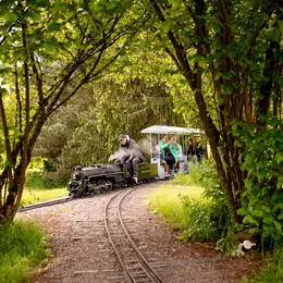 Trains à vapeur : portes ouvertes