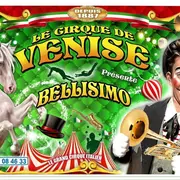 Le cirque de Venise est arrivé à Carcassonne 