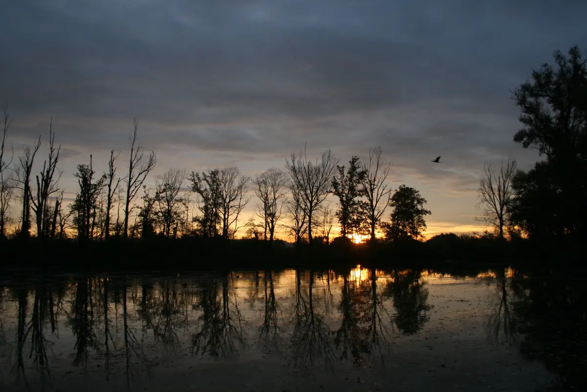 Sortie : coucher de Soleil sur la Réserve Naturelle