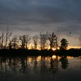 Sortie : coucher de Soleil sur la Réserve Naturelle