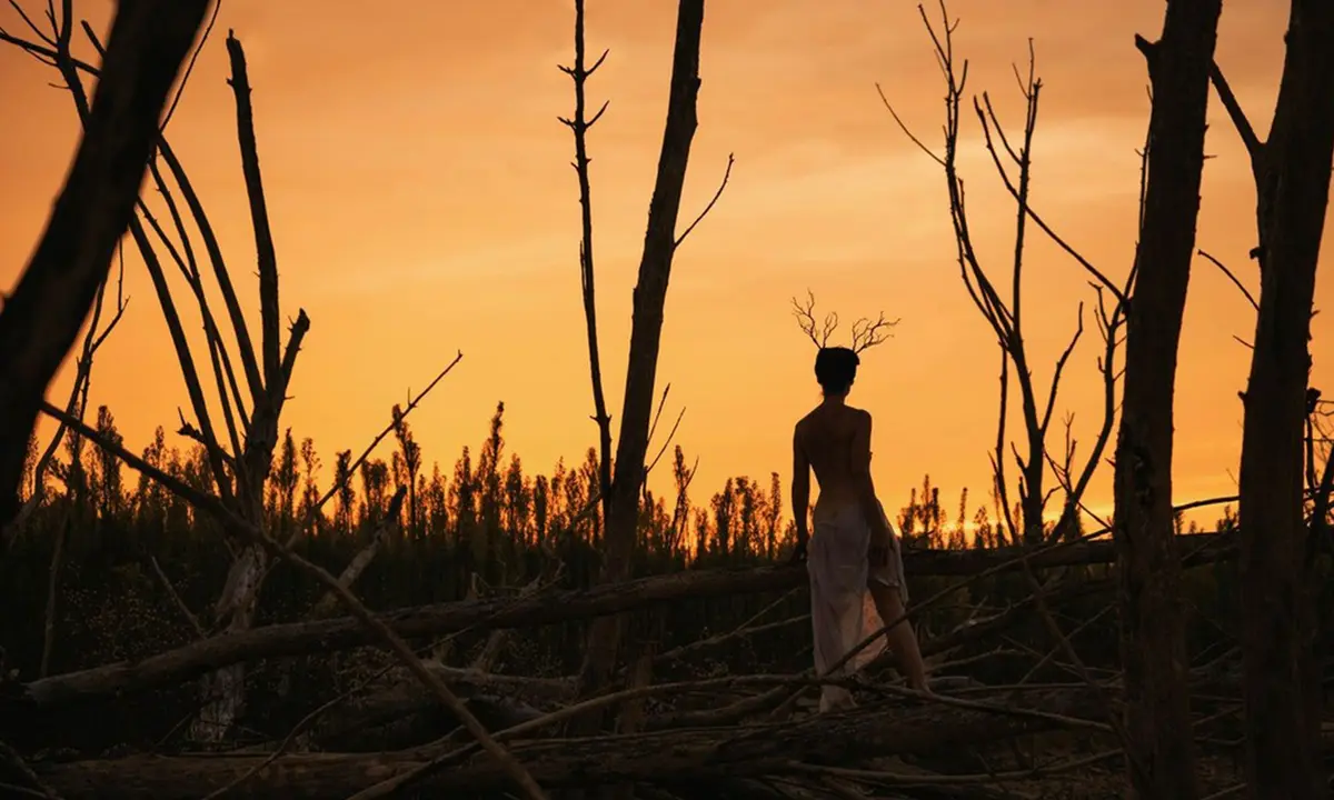 Lily Jung - Concert vibratoire