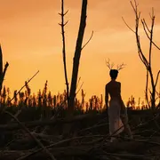 Lily Jung - Concert vibratoire