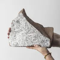 Atelier dessin.  S'approprier l'histoire - Dessiner la mémoire &copy; ©Emmanuel Henninger