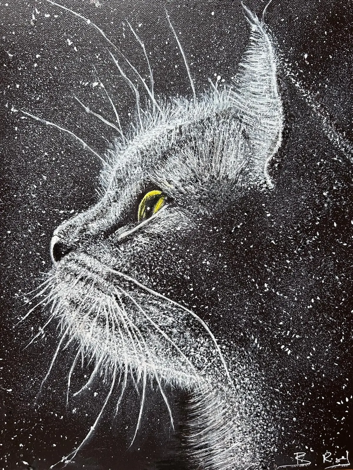 Exposition de la mjc d'ungersheim : de l'ombre à la lumière