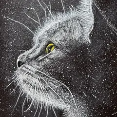 Exposition de la mjc d'ungersheim : de l'ombre à la lumière