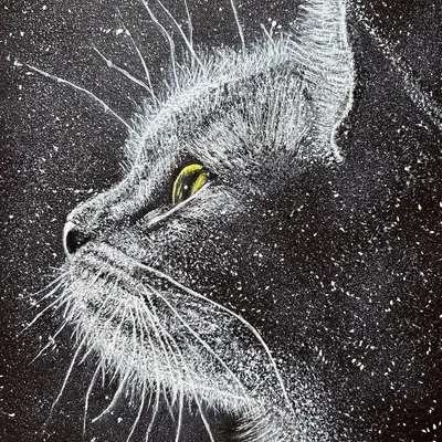 Exposition de la mjc d'ungersheim : de l'ombre à la lumière