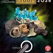 Salon international des minéraux - gemmes - fossiles - joaillerie