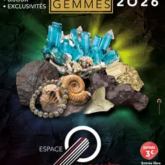 Salon international des minéraux - gemmes - fossiles - joaillerie