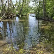 A la découverte de la part sauvage du Rhin : de sa source à la plaine
