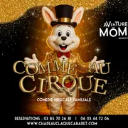 Comme au Cirque ! - Spectacle Familial de Carnaval