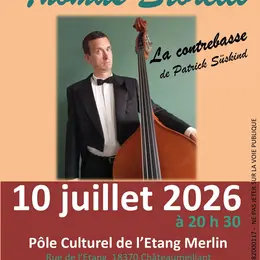 La contrebasse par Thomas Storelli à Châteaumeillant