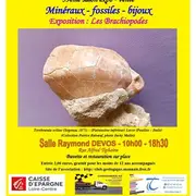 39 ème salon minéraux et fossiles