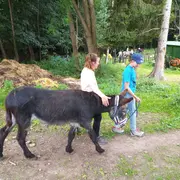 Séjour tous ados - 10/14 ans