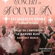 Concert du Nouvel An : Les Valses de Johann Strauss