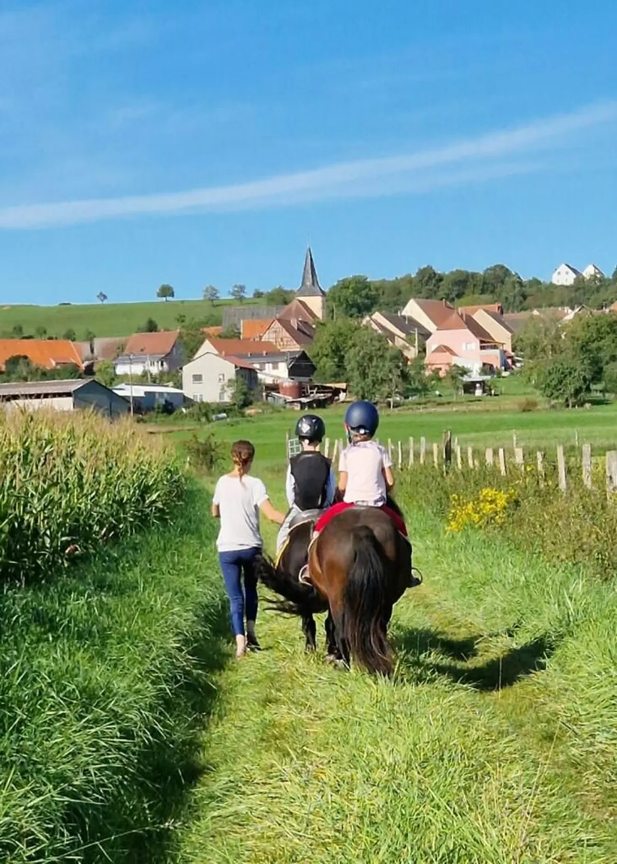 Promenade à poney en famille