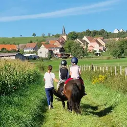 Promenade à poney en famille