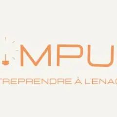 Fly Impulse