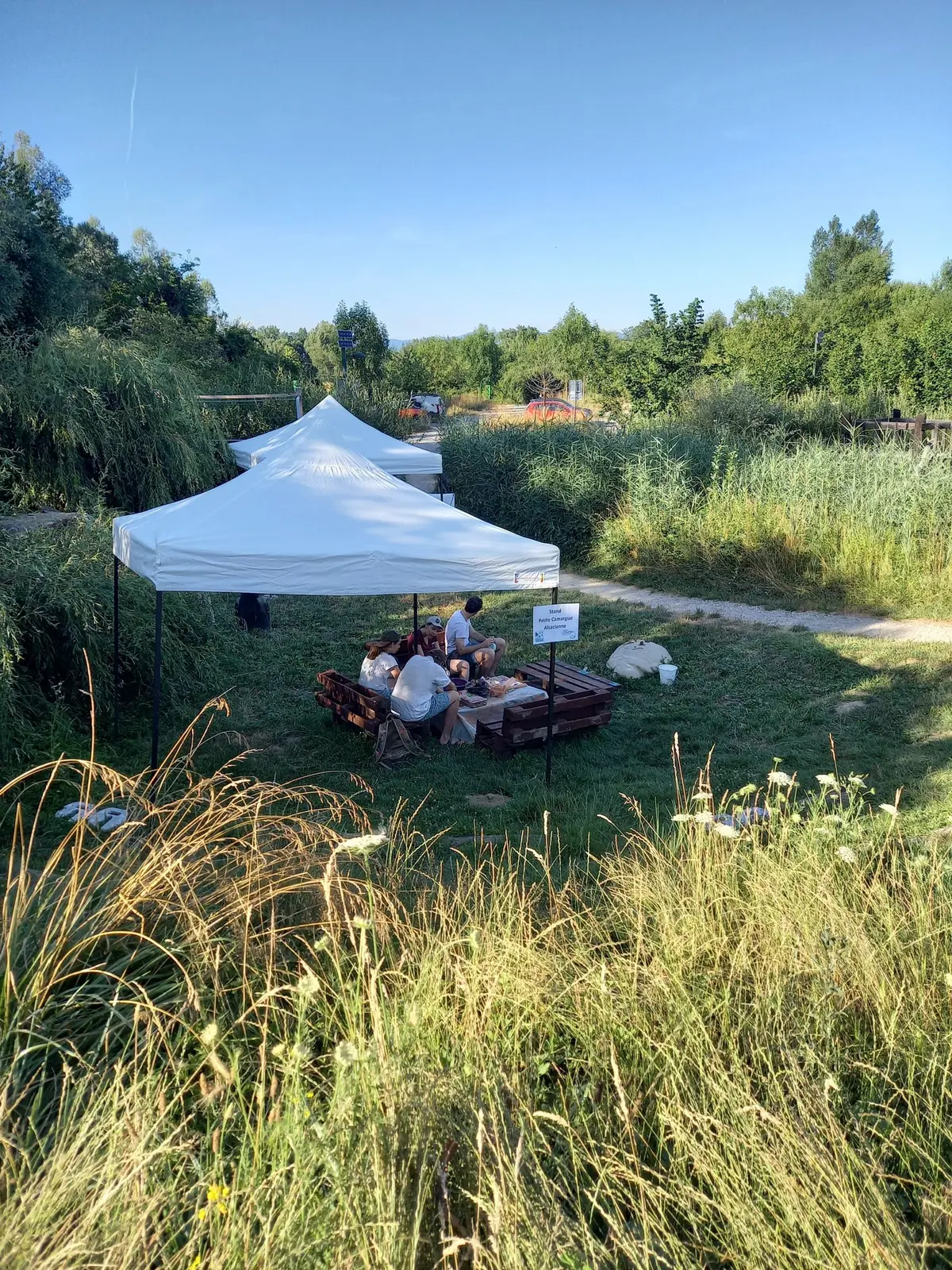 Anim'nature en fête