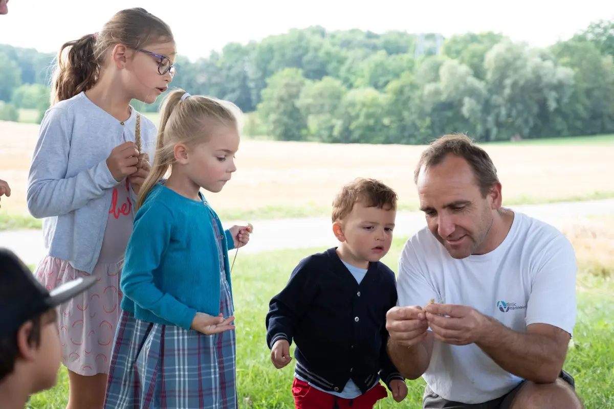 Elevage bovin Daul-Boime : de l'alimentation à la fertilisation des sols