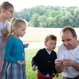 Elevage bovin Daul-Boime : de l'alimentation à la fertilisation des sols
