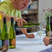 Pique-Nique chez le vigneron