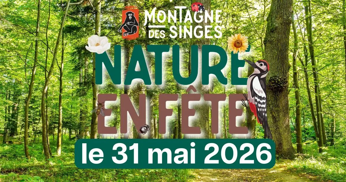 Nature en fête – Une journée dédiée à la biodiversité
