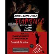 Diner Concert FLAMENCO Spécial Noël zambombas