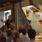 Visite contée de l’exposition « Les petits habits de Joseph »