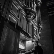 Shepard electrosoft in public garden  