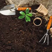 Jardinage au naturel et changement climatique