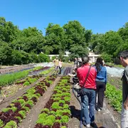 Les 48 heures de l'agriculture urbaine 2026 - Lyon et ses environs