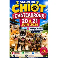 Salon du chiot et du chaton  &copy; La maison de l’éleveur 
