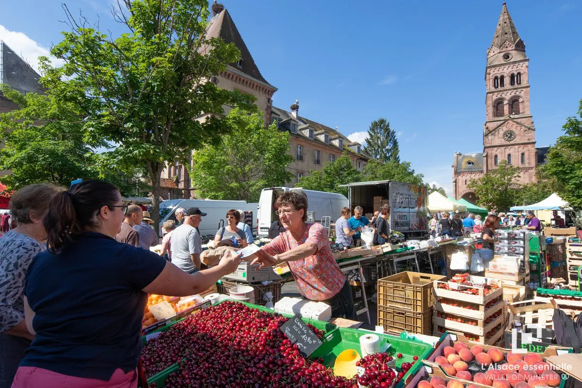 Marché de Pentecôte (Johrmarik) - Munster 