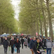 Vide greniers et Brocante