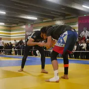 Malus Fight League 3