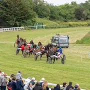 Réunion de courses hippiques Hippodrome Vannes Séné