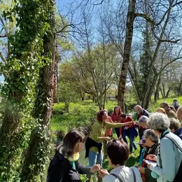Sortie plantes sauvages comestibles à St Pardon de Conques (lac du Carpe)